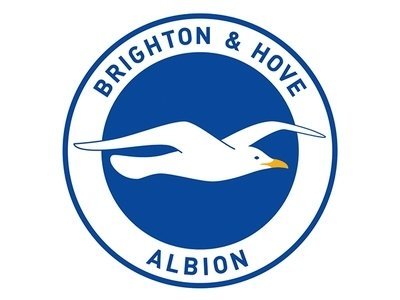 Brighton & Hove Albion Tickets