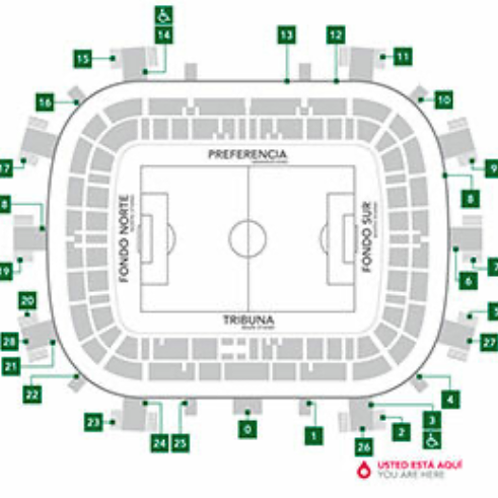 Estadio Martínez Valero